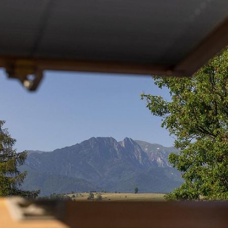 Apartamenty U Anusia Закопане Екстериор снимка